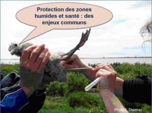 zones-humides