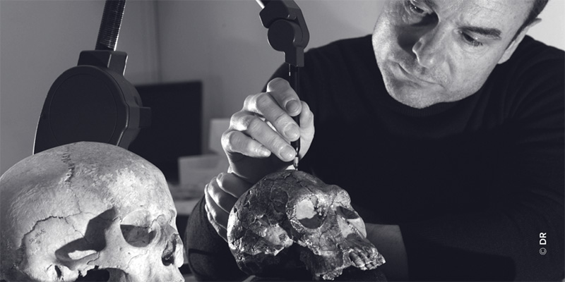 Les conférences conjointes d’Avignon Université et du Café des sciences d’Avignon – Le genre Homo n’est plus ce qu’il était – Mercredi 10 mai 2023