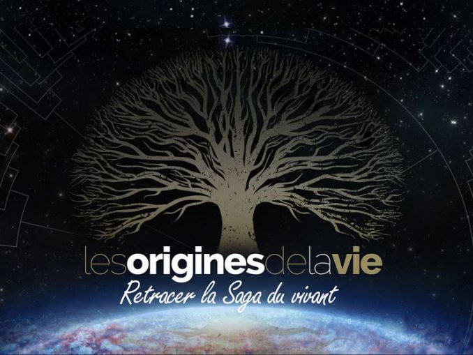 Les origines de